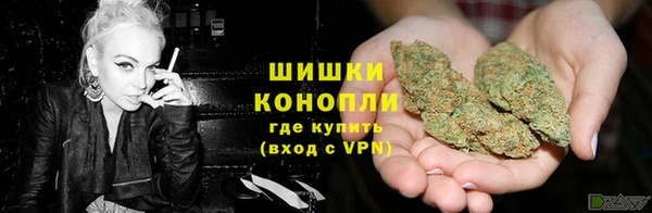 круглые Гусев