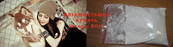 шишки Сосновый Бор