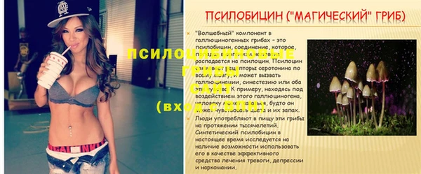 стафф Вяземский