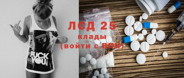 круглые Гусев