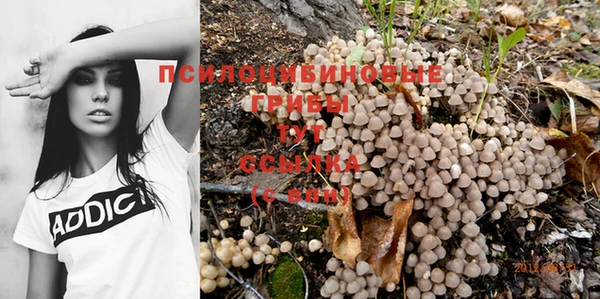 спиды Гусь-Хрустальный