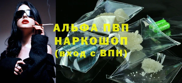 стафф Вяземский