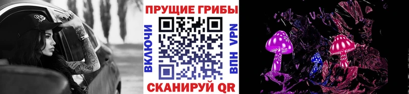 дарнет шоп  Дальнереченск  Галлюциногенные грибы мухоморы 